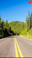 Different types of lanes on road