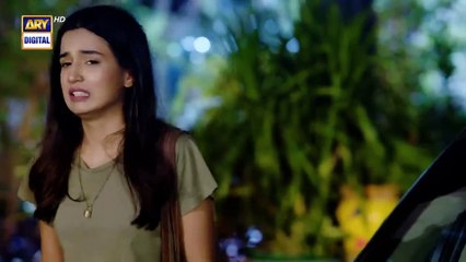 Woh Pagal Si Episode 17