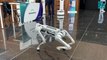 025. V Congreso Inteligencia Artificial / El perro robot