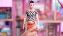 LEGO'nun Barbie'nin erkek arkadaşı Ken'in hamile versiyonunu ürettiği iddiası yanlış