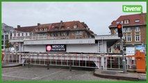 Des baleines sous le pont Notre-Dame à Tournai ?