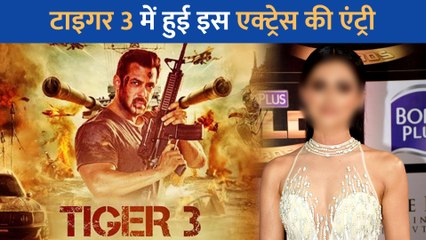 Download Video: Salman Khan की फिल्म Tiger 3 में हुई इस टीवी एक्ट्रेस की दमदार Entry! लगाएंगी अपने हुस्न का जबरदस्त तड़का