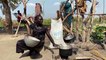 Millions in South Sudan at risk of severe hunger - U.N.