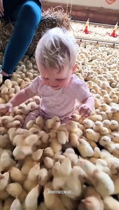 Cute babies playing funny