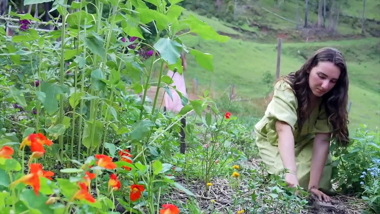 The Truth of Living in Nature- Tropical Storms and Wild Beauty