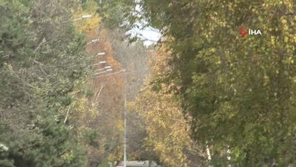 Erzurum'da sonbahar manzarası