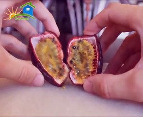 How to plant passion fruit seeds