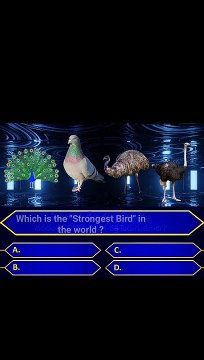 Intresting Questions | GK Questions | Quiz Questions | BVN Nayak