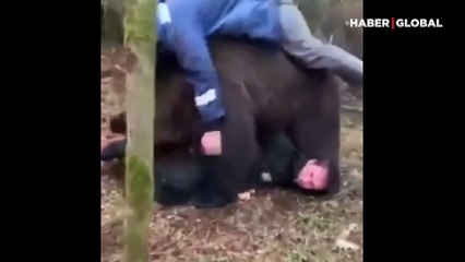 Görenler şaştı kaldı: Dev ayıyla böyle güreştiler