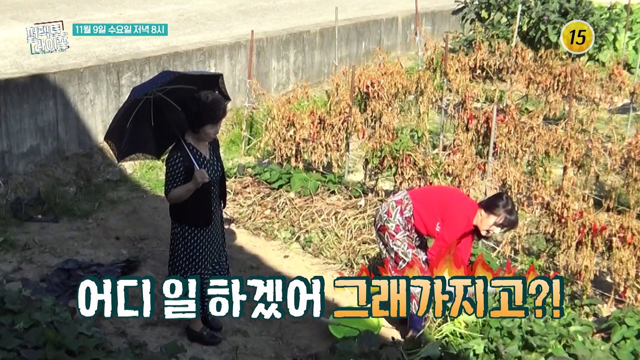 시댁살이 제대로 하는 국민 며느리 이시은_퍼펙트 라이프 116회 예고 TV CHOSU...