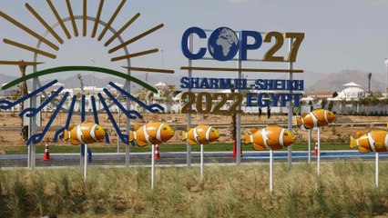 EN DIRECT | Le discours de Macron à la COP 27
