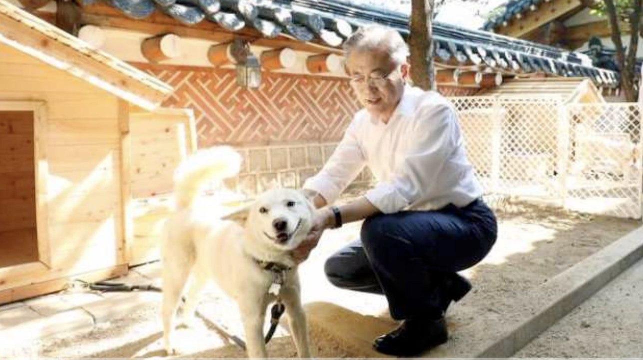 Ex-Präsident gibt kaltblütig Hunde von Kim Jong-un ab
