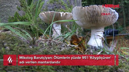 Uzmanından zehirli mantar uyarısı