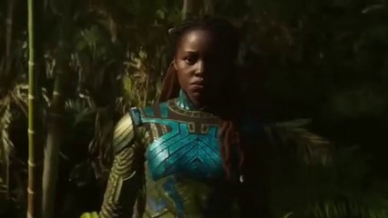 Black Panther: Wakanda Forever 2022 Complet VF Streaming