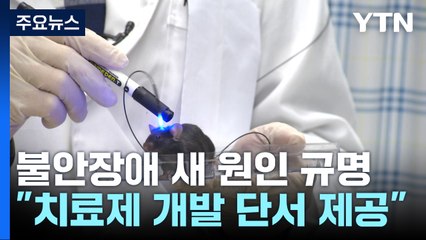불안장애 새 발병 원인 규명...치료제 개발 단초 / YTN