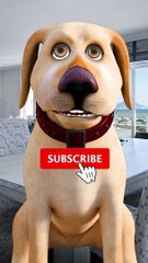 The Funniest Jokes Ever by John Dog