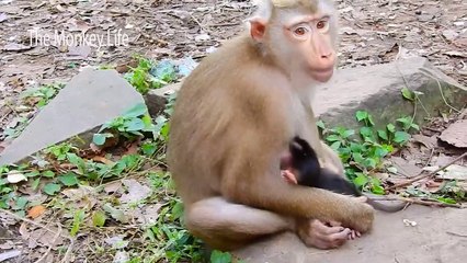 Everything happen because mom Libby leave Brady alone