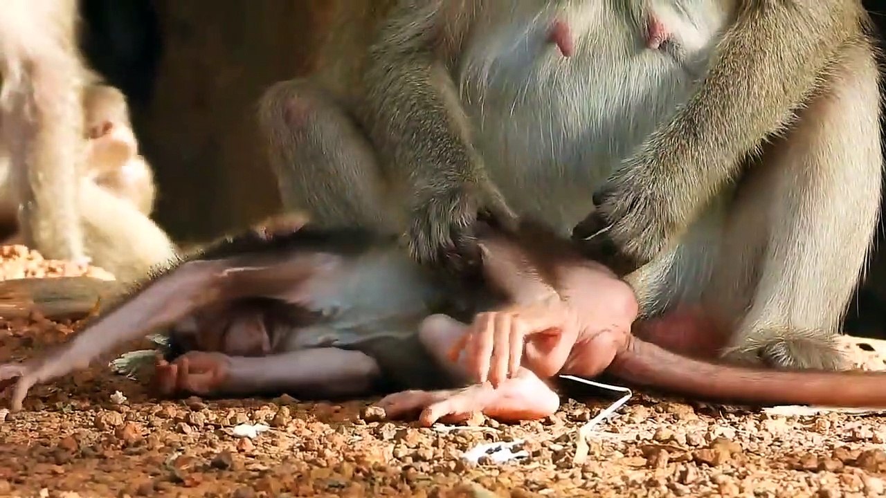 Mom Hando Trying Checking Body Her Baby Haha, While Baby Tired And Sleep