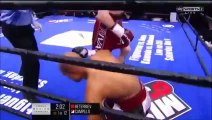 Artur Beterbiev Vs Gabriel Campillo Highlights (IBF NA Title)