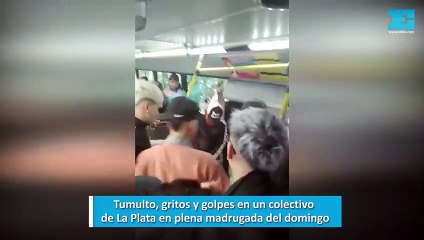 Tumulto, gritos y golpes en un colectivo de La Plata en plena madrugada del domingo