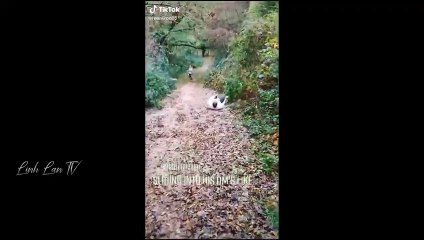 momen komplilasi paling lucu tahun ini