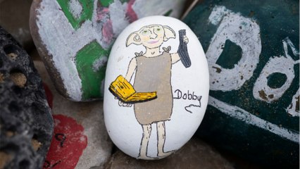 Pays de Galles : la tombe de Dobby envahie de souvenirs, menace pour l’environnement