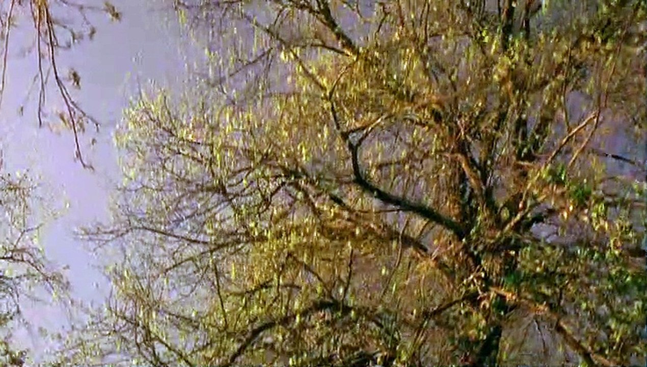 Masters of Horror Staffel 2 Folge 1 HD Deutsch