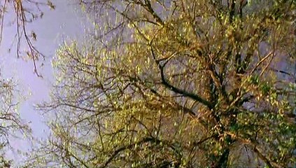 Masters of Horror Staffel 2 Folge 1 HD Deutsch