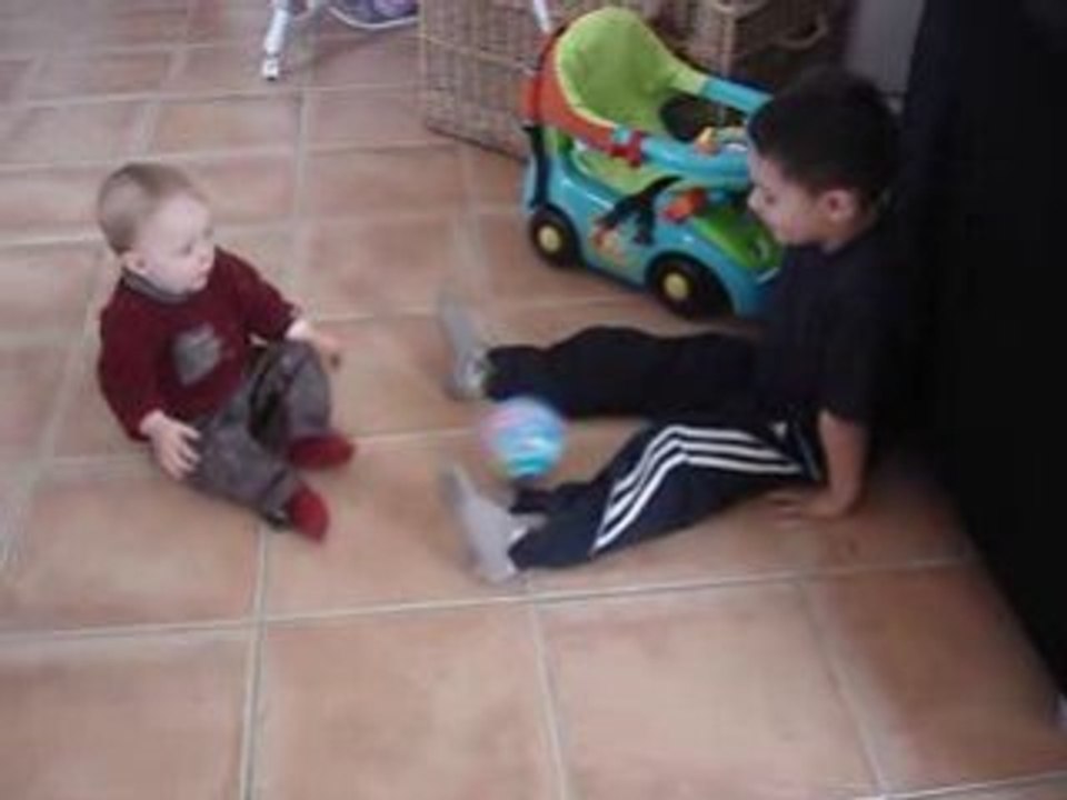 MOV08384
