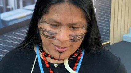 Líderes indígenas alertan en la cumbre del clima COP27: "La Amazonia roza el punto de no retorno"