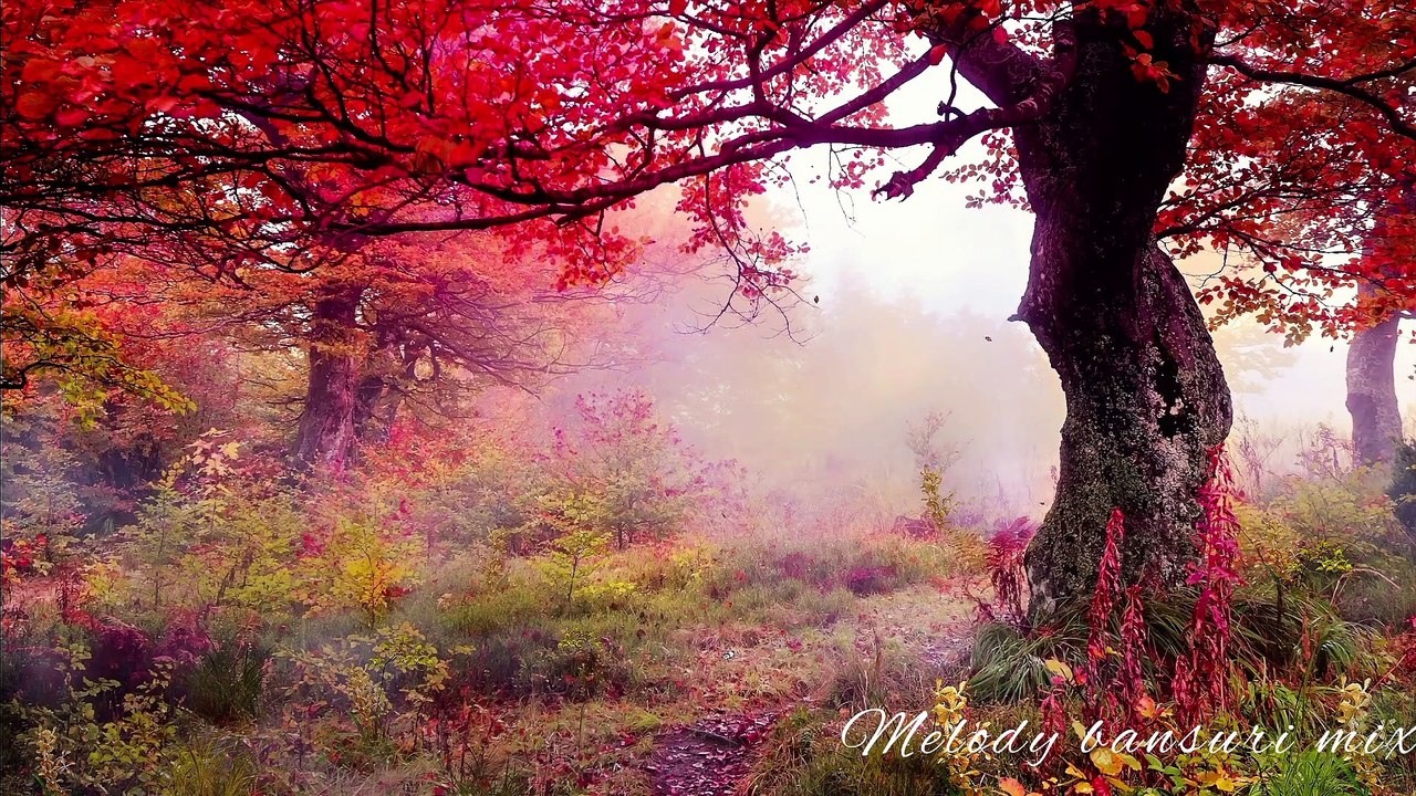 Nature changing  climax