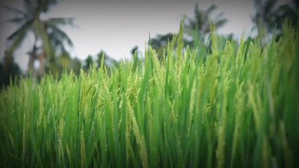 MANUSIA yang HEBAT dan CERDAS