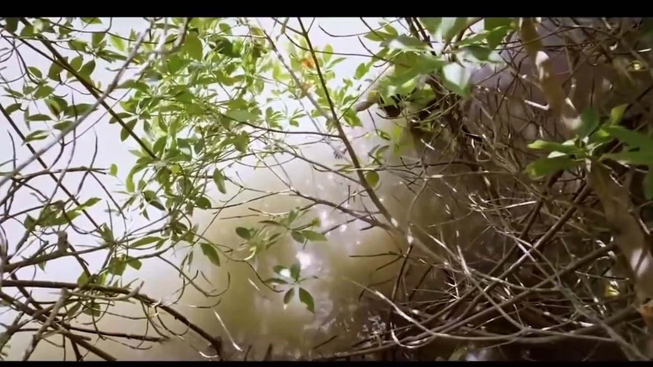 South Indian movie Action Scenell  I P S  ll Untitled 2 1280x720 3.78Mbps 2022-11-07 19-07-11