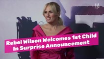 Rebel Wilson Welcomes 1st Child In Surprise Announcement