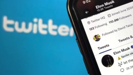 Elon Musk Bans 'Impersonation' Accounts on Twitter