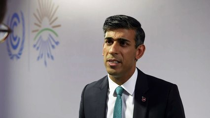 PM: Independent complaints process into Williamson's texts