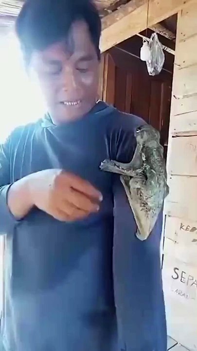 Un animal de compagnie très inhabituel mais trop mignon