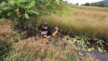 catch carp   Hunting Giant Fish