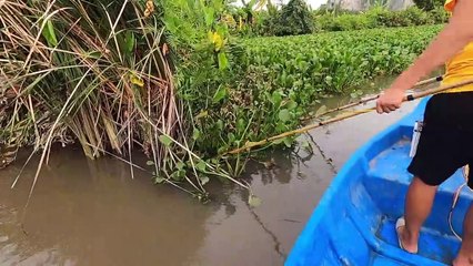 Kích Cá Trên Con Sông Lớn Được Rất Nhiều Cá Ngon   Thú Vui 3 Miền TV
