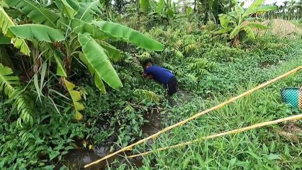 Hoảng Hồn Khi Thấy Con Gì Nhầy Nhầy Rúc Trong Đám Cỏ   Thú Vui 3 Miền