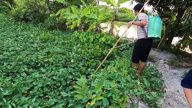 Sức Mạnh Khủng Khiếp Của Máy Hút Cá 8 Fet Thú Vui 3 Miền