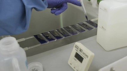 Lab-grown red blood cells transfused into a person for first time