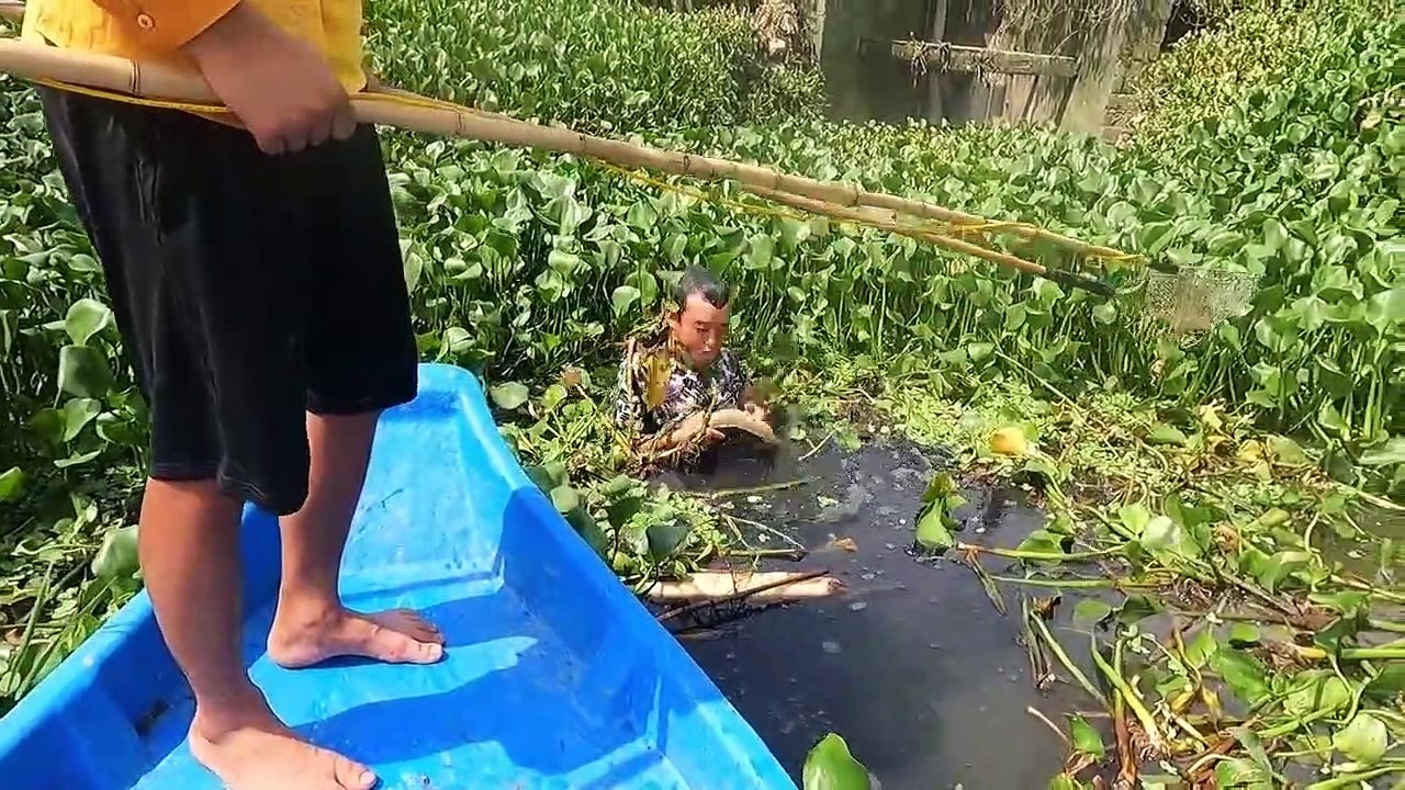 Test Máy Kích Cá 8fet Đánh Sông Lớn Dính Cá Lóc Khủng   Thú Vui 3 Miền