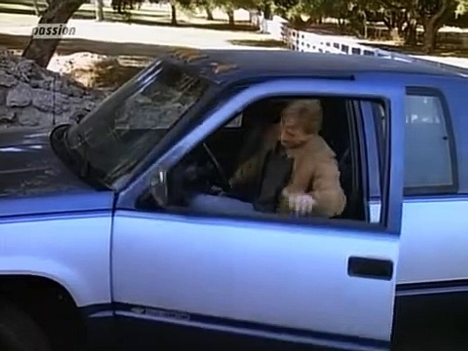 Unter der Sonne Kaliforniens Staffel 13 Folge 15 HD Deutsch