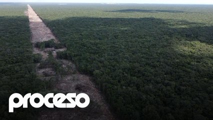 Avanza la construcción del controvertido Tren Maya en México