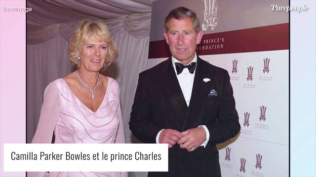 Oisive, et n'ayant jamais vraiment travaillé : Comment Camilla Parker Bowles était vue par la famille royale au début
