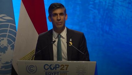 Rishi Sunak echoes Queen Elizabeth’s message in Cop27 national statement