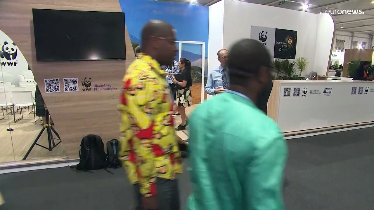 COP27: Emmanuel Macron calls for continued climate action despite war in Ukraine