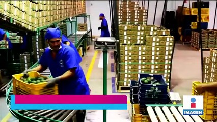 Hacienda aclara iniciativa y niega tomar dinero de las pensiones