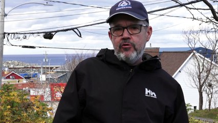 Baleines à Gaspé : une présence particulière pour le temps de l’année